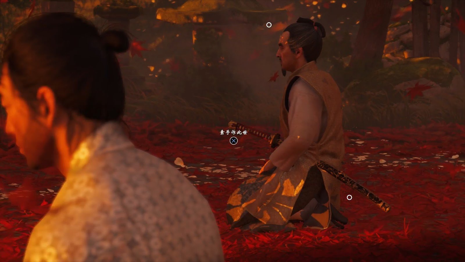 巫师3：狂猎 终极版 截图11